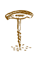 Дегустация вин с сомелье