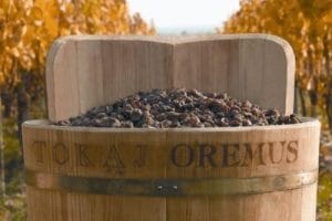 26 июня -  празднуем день Токайского вина!