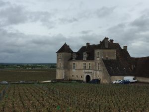 18 августа - О, великий и прекрасный Пино Нуар, этот день мы посвящаем тебе!