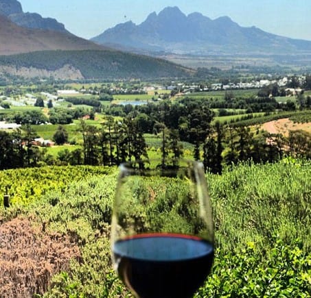 Винная дегустация