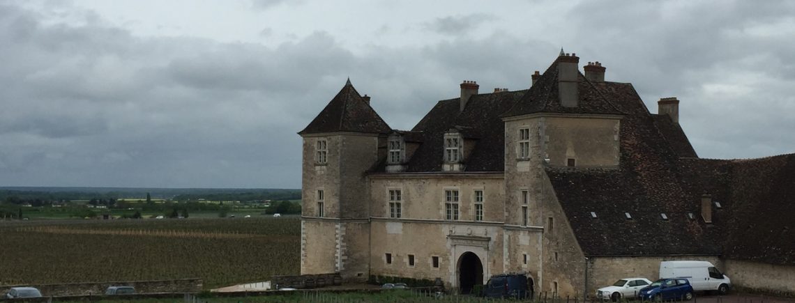 18 августа - О, великий и прекрасный Пино Нуар, этот день мы посвящаем тебе!