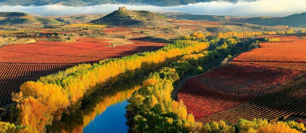 27 сентября в 19.30 - дегустируем Испанское вино