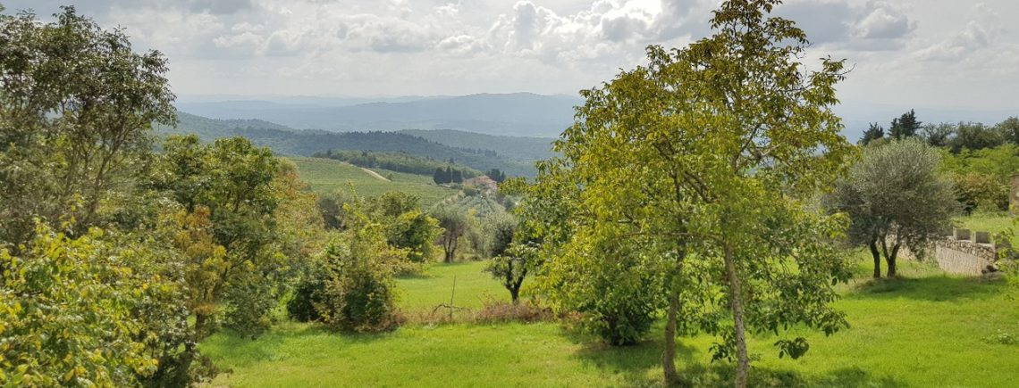 18 октября в 19.30 - самые знаменитые и вкусные вина Тосканы за один вечер