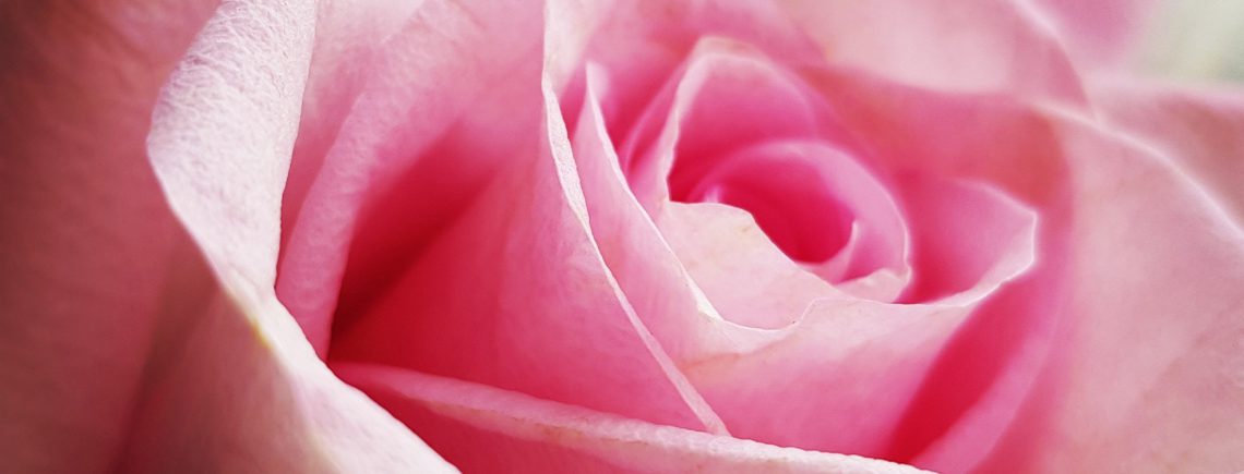 8 марта - Для милых дам!