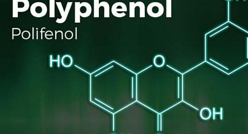 26 февраля 15.00 - ХИМИЯ вина, разбираемся с полифенолами