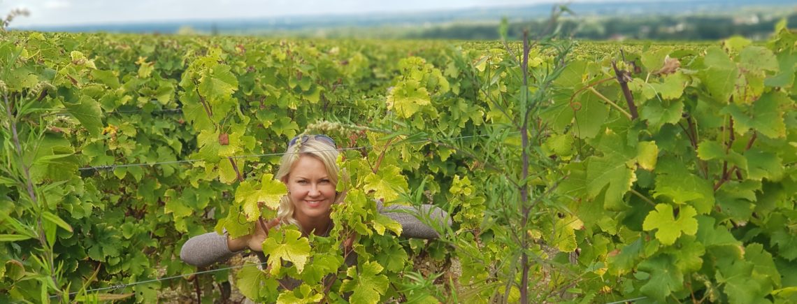 23 октября 17.30 - СОВИНЬОН БЛАН из разных уголков мира, 1000 р