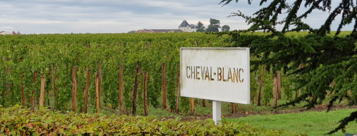 6 апреля 19.30 - дегустация вин из сорта СОВИНЬОН БЛАН, 2000р