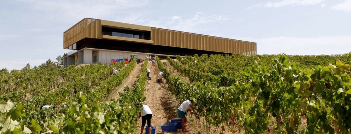 13 августа 17.30 - "Качество, как стратегическая цель", на примере  "Гай-Кодзор", 1000р