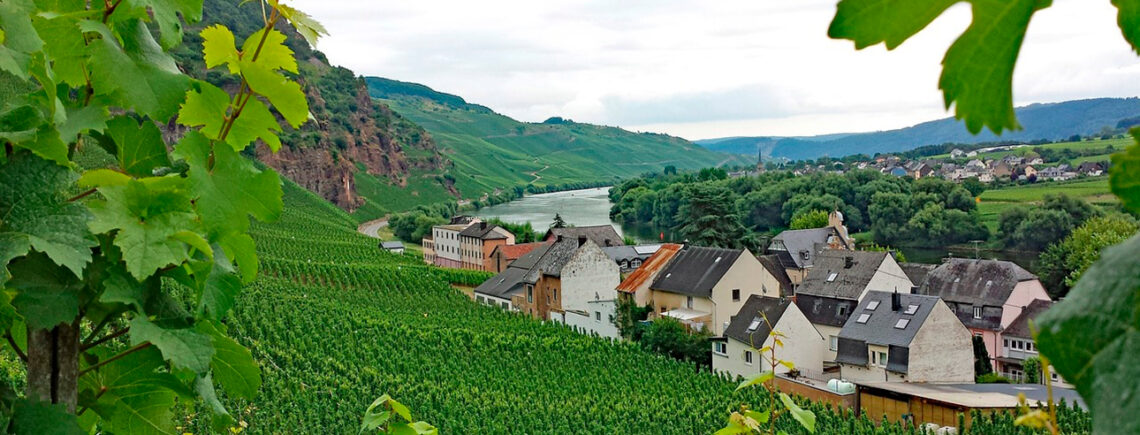 16 ноября 19.30 - вина Германии и Австрии, 2500р