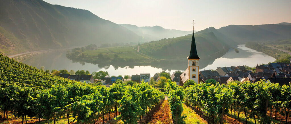 16 ноября 19.30 - вина Германии и Австрии, 2500р