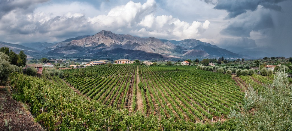 13 июня 19.30 - вина Сицилии, 2500р