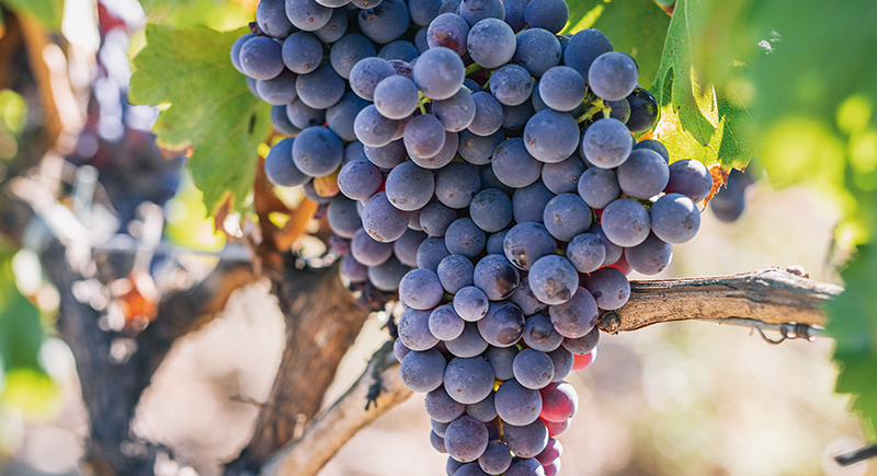 29 августа 19.30 - путешествие по солнечной Испании, 2500р.