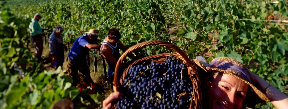 11 августа 17.30 - удивительная Португалия, 1500р